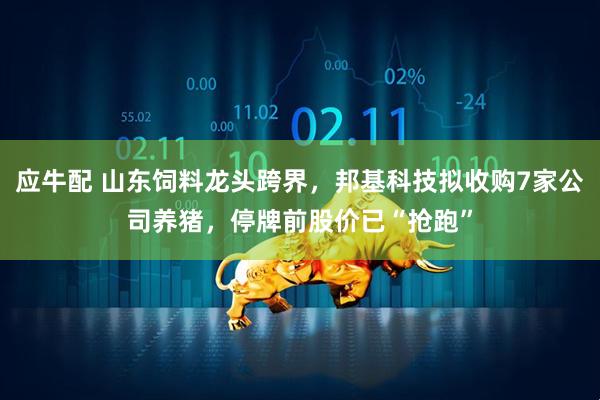 应牛配 山东饲料龙头跨界，邦基科技拟收购7家公司养猪，停牌前股价已“抢跑”