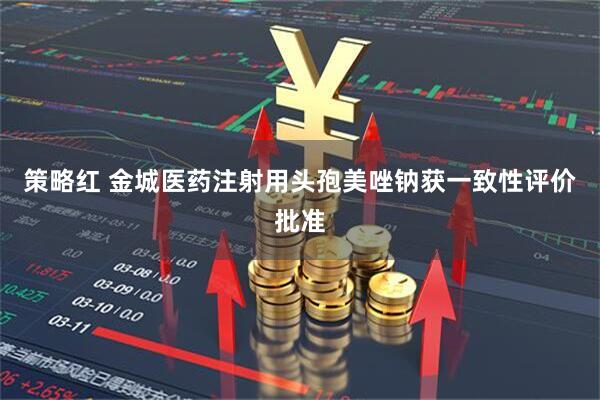 策略红 金城医药注射用头孢美唑钠获一致性评价批准