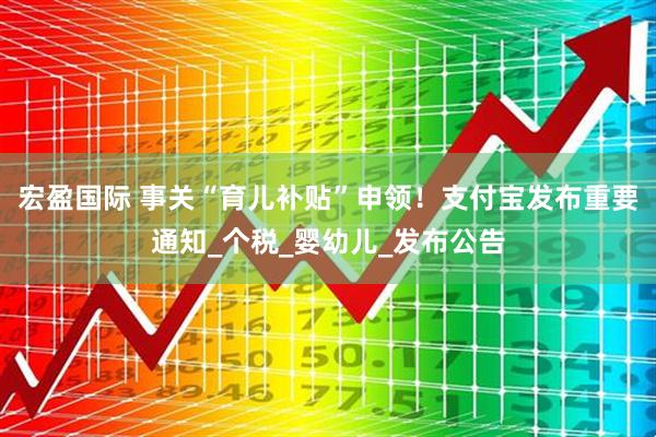 宏盈国际 事关“育儿补贴”申领！支付宝发布重要通知_个税_婴幼儿_发布公告